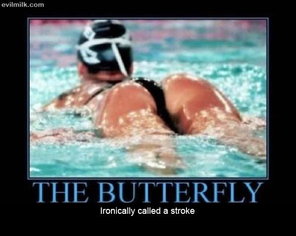 The Butterfly
