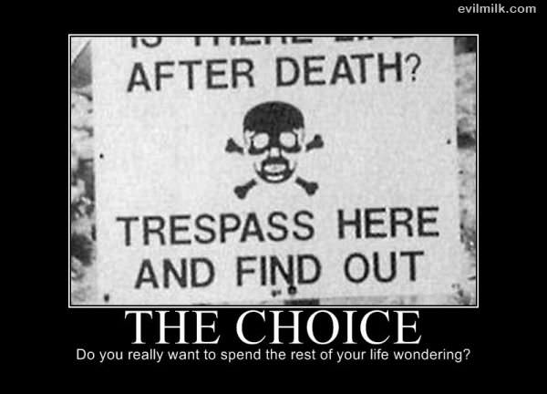 The Choice