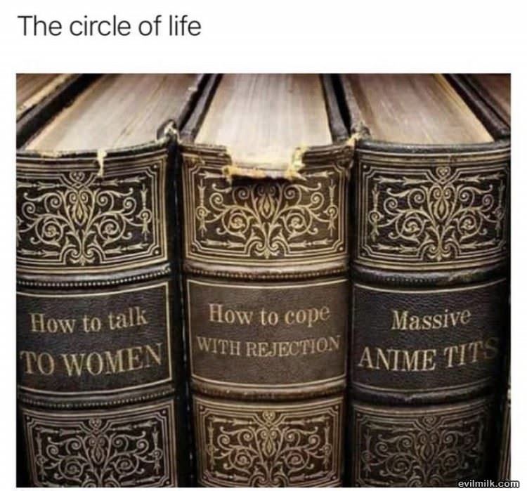 The Circle Of Life