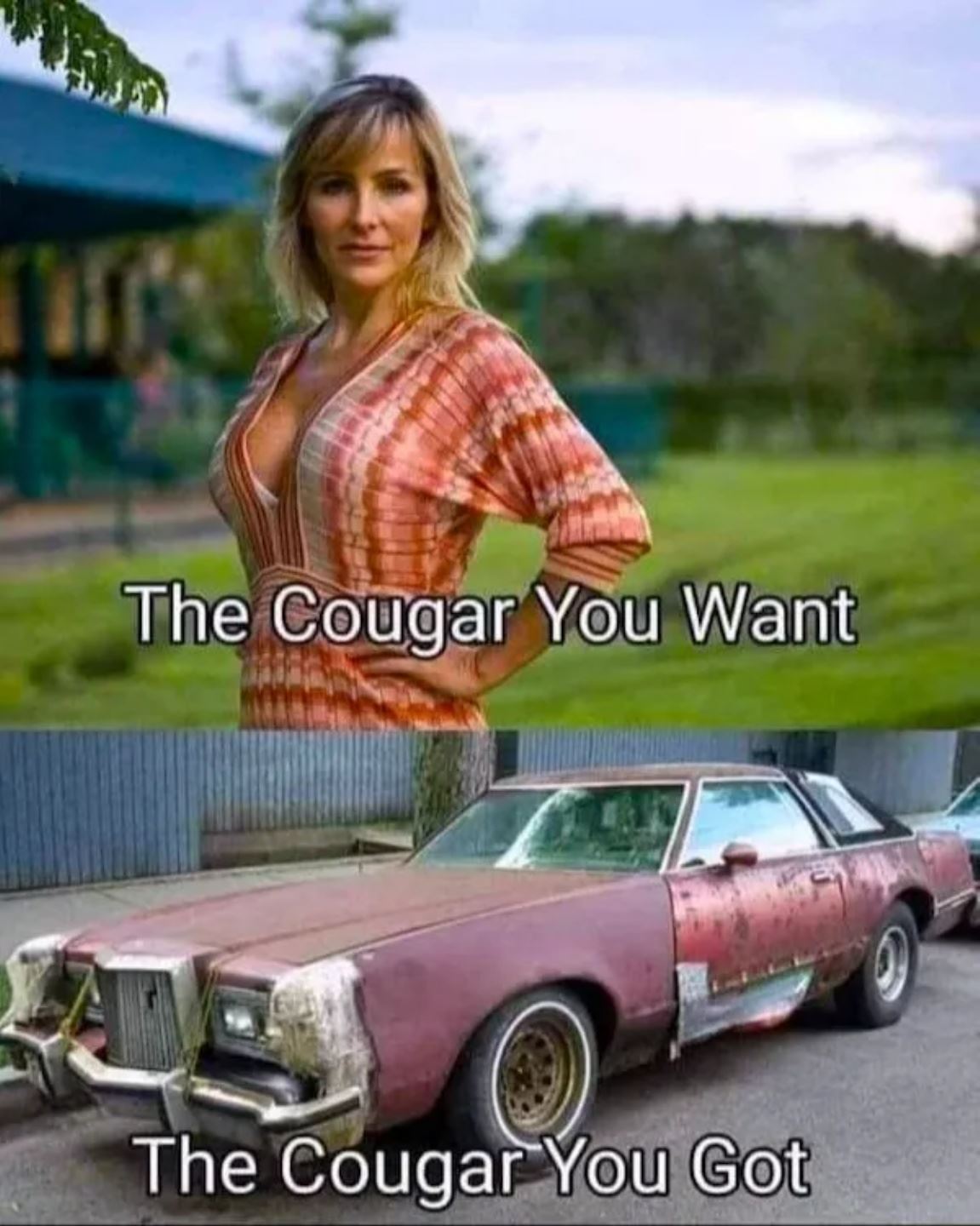 The Cougar