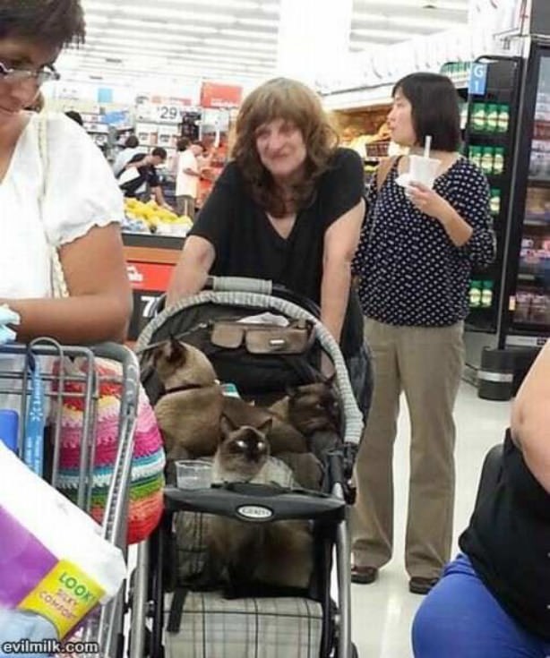 The Craziest Cat Lady