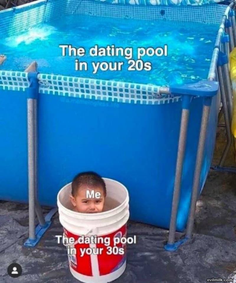 The Dating Pool