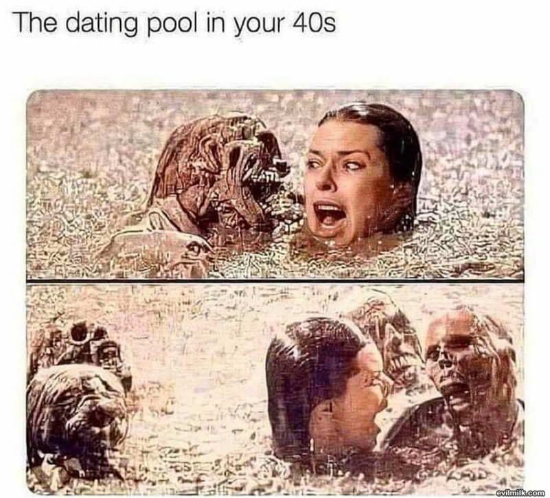 The Dating Pool