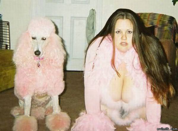 The Dogs Hotter