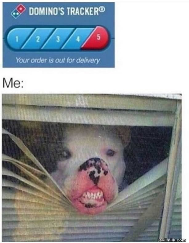 The Dominos Tracker