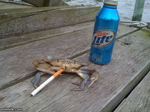 The Drunken Crab
