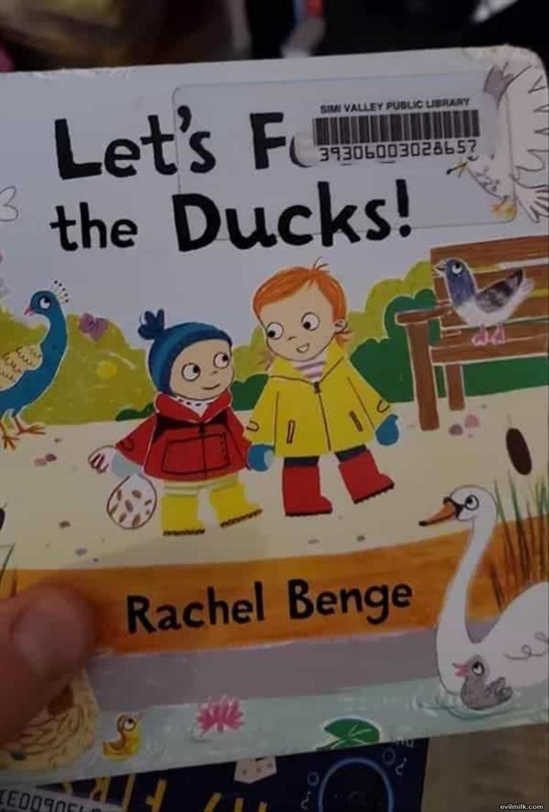 The Duck