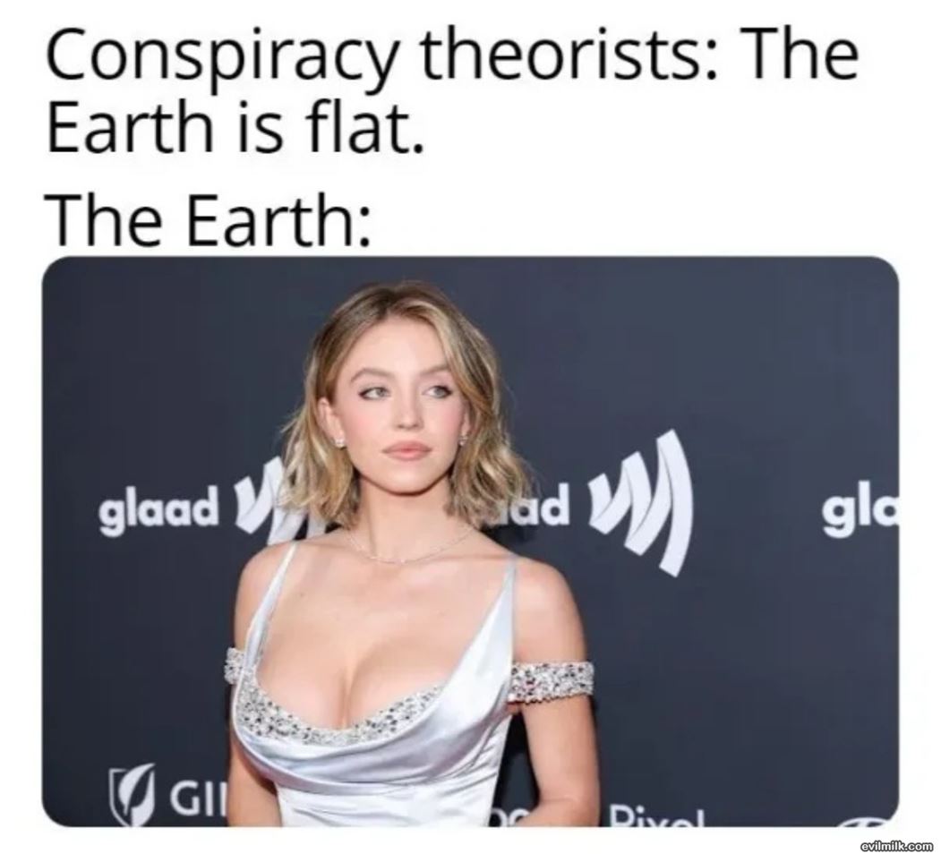 The Earth
