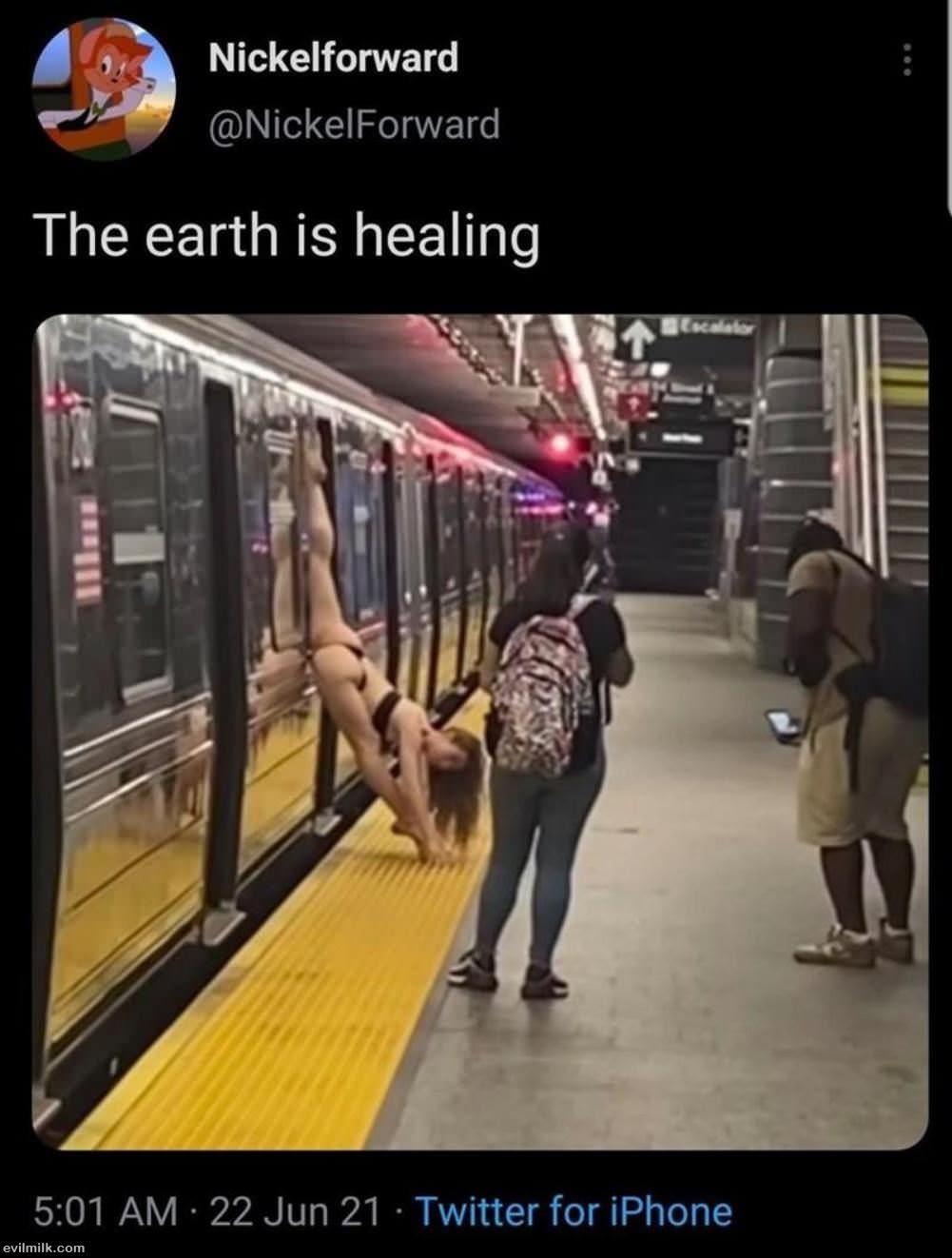 The Earth Is Healing