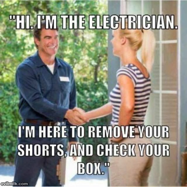 The Electrician