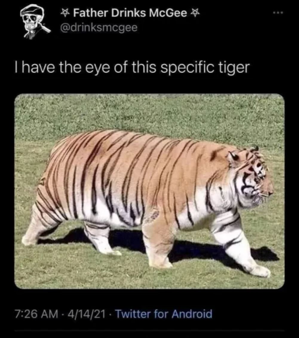 The Eye