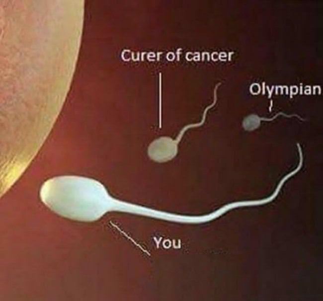 The Fastest Sperm