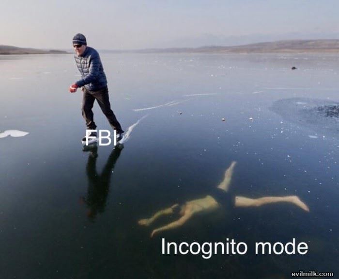The Fbi