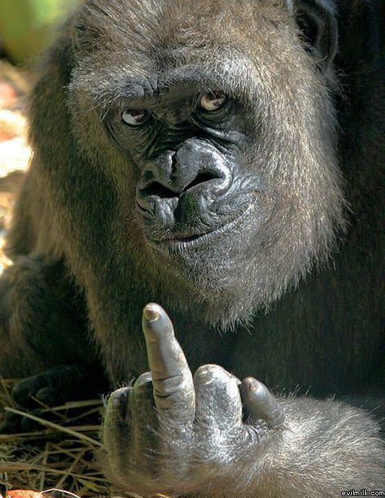 The Finger