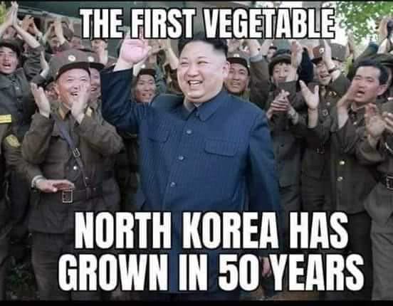 The First Vegetable