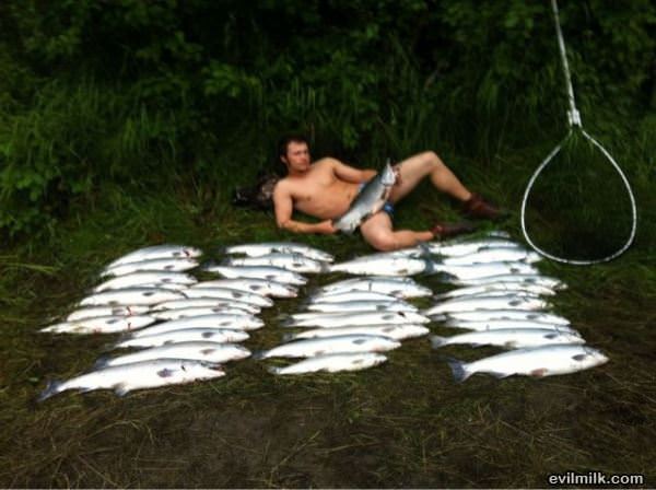 The Fish Master