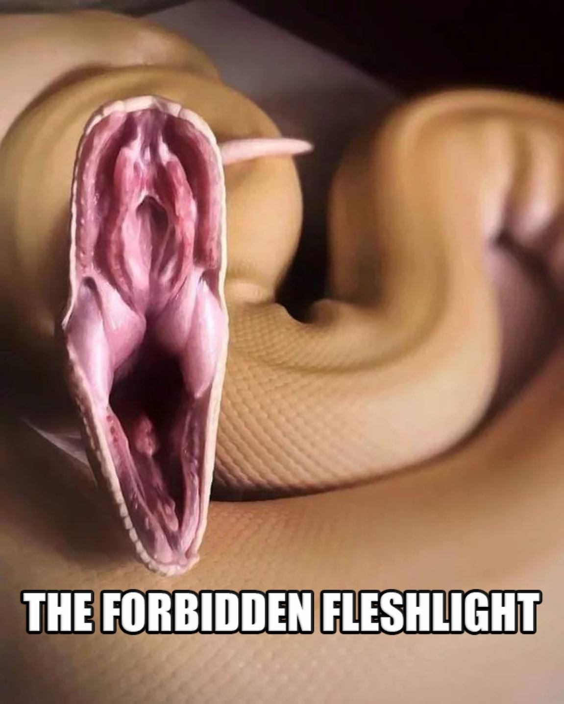 The Forbidden