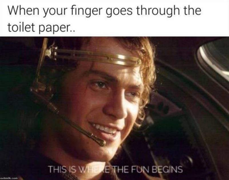 The Fun