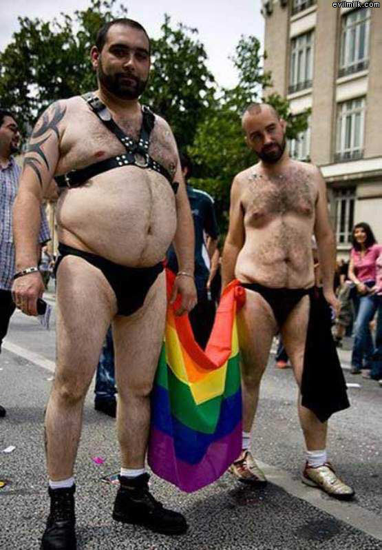 The Gay