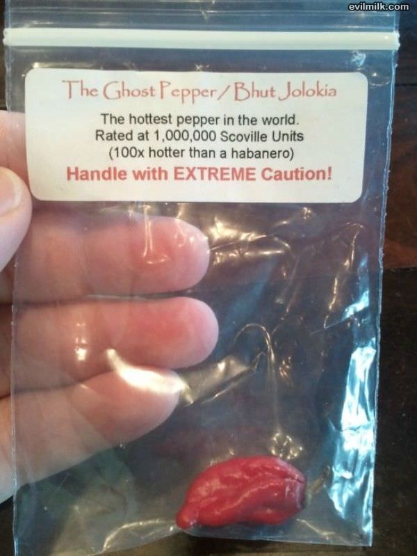 The Ghost Pepper