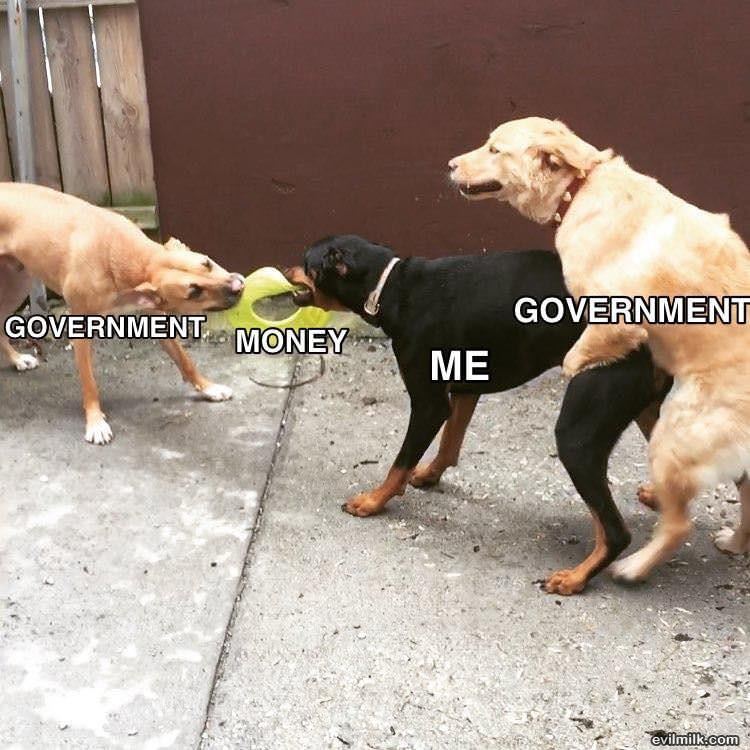 The Government