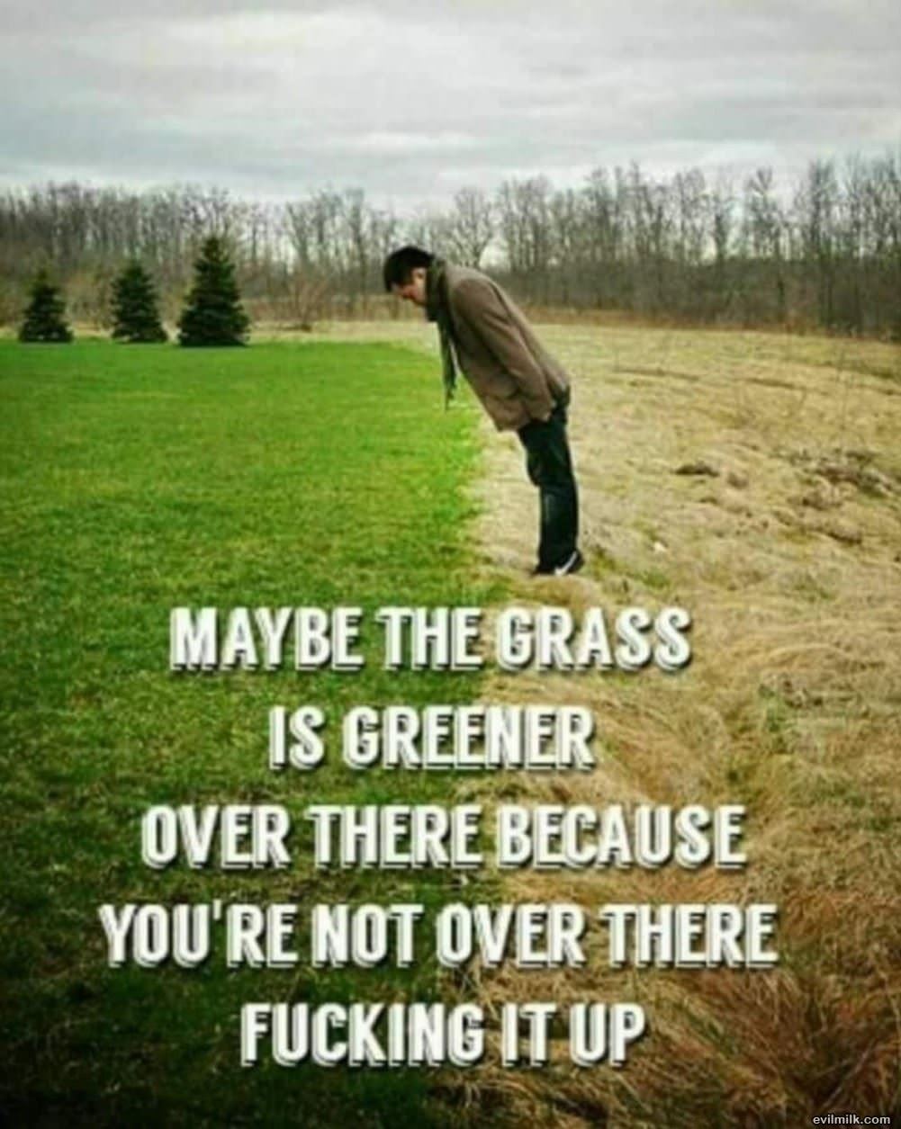 The Grass Is Greener