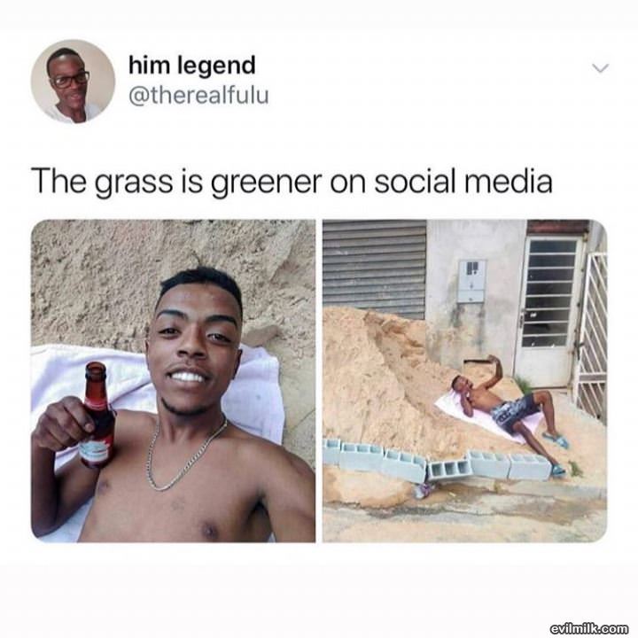 The Grass On Social Media