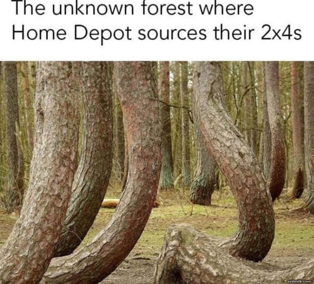 The Great Unknown