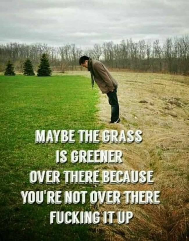 The Greener Grass