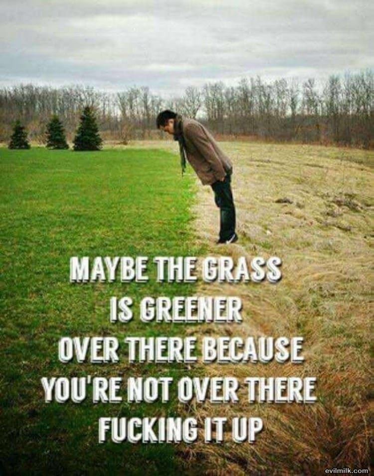 The Greener Grass