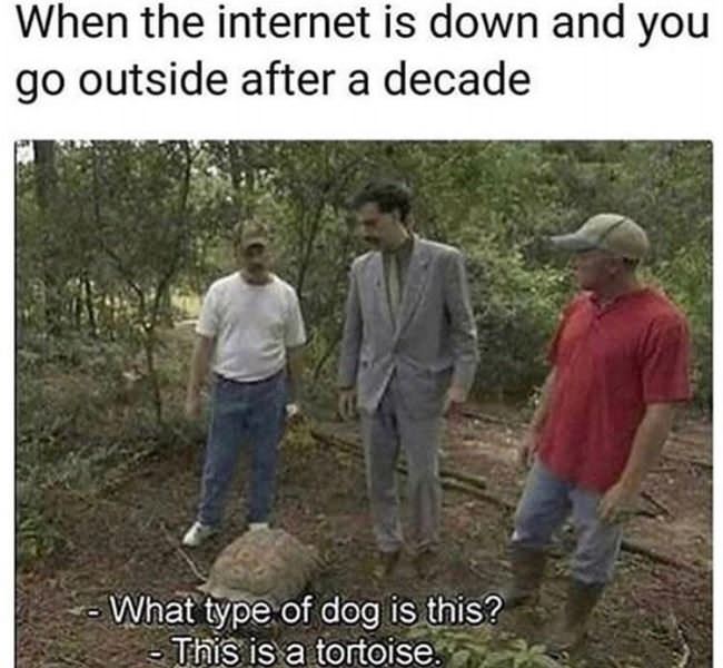The Internet Is Down For 2 Minutes