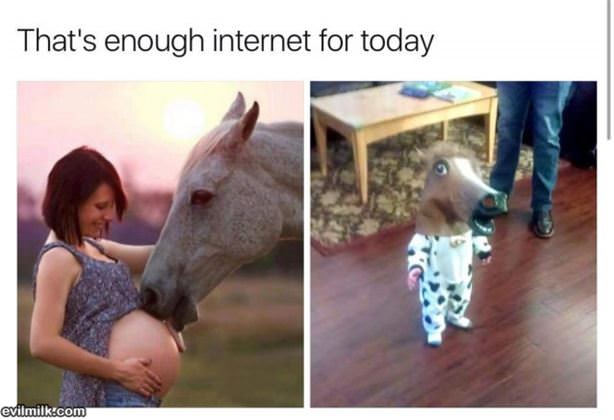 The Internet Is Magical