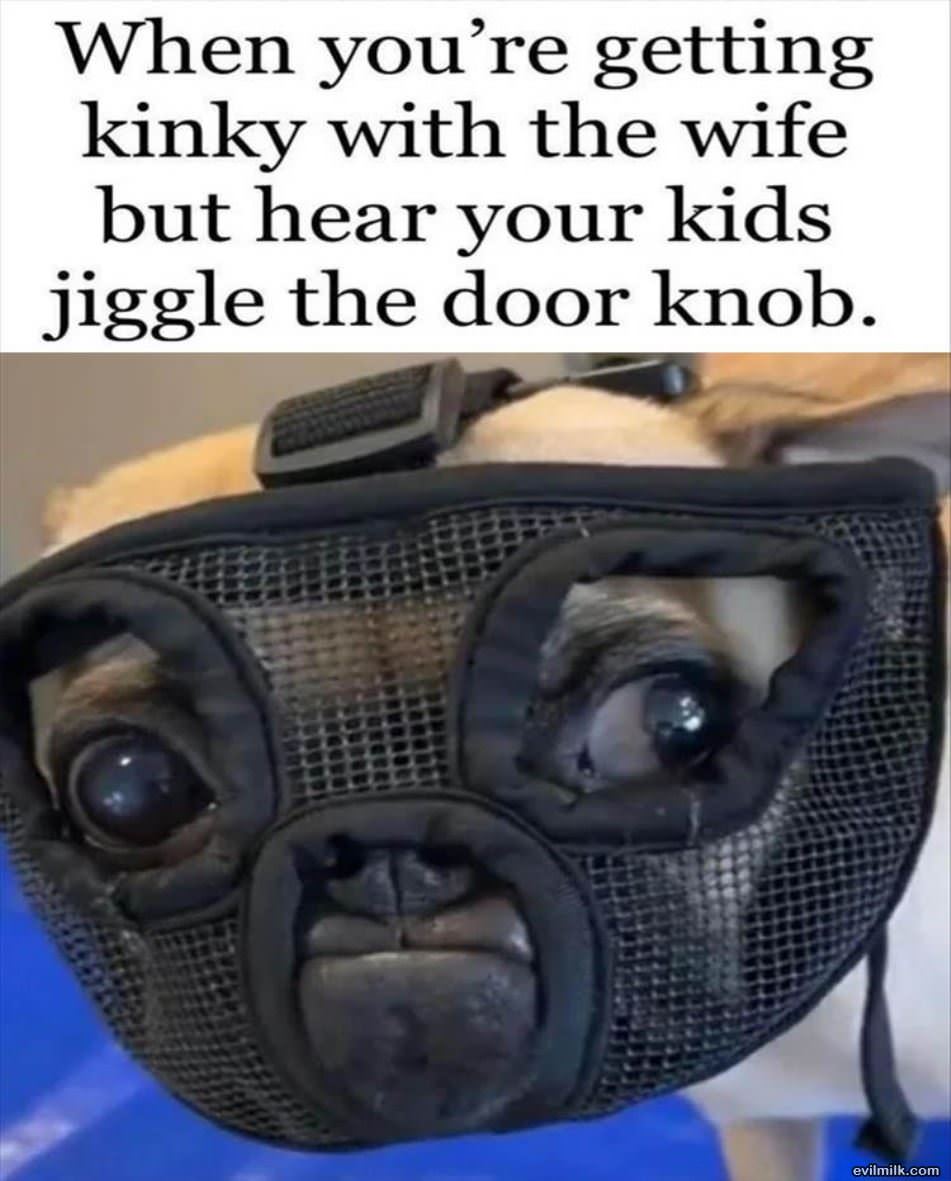 The Jiggle