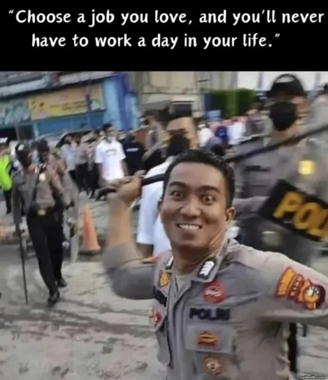 The Job You Love