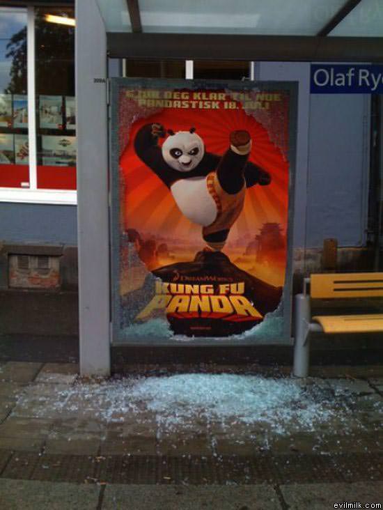 The Kung Fu Panda