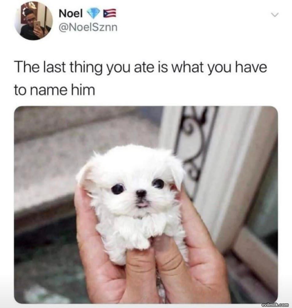 The Last Thing You Ate