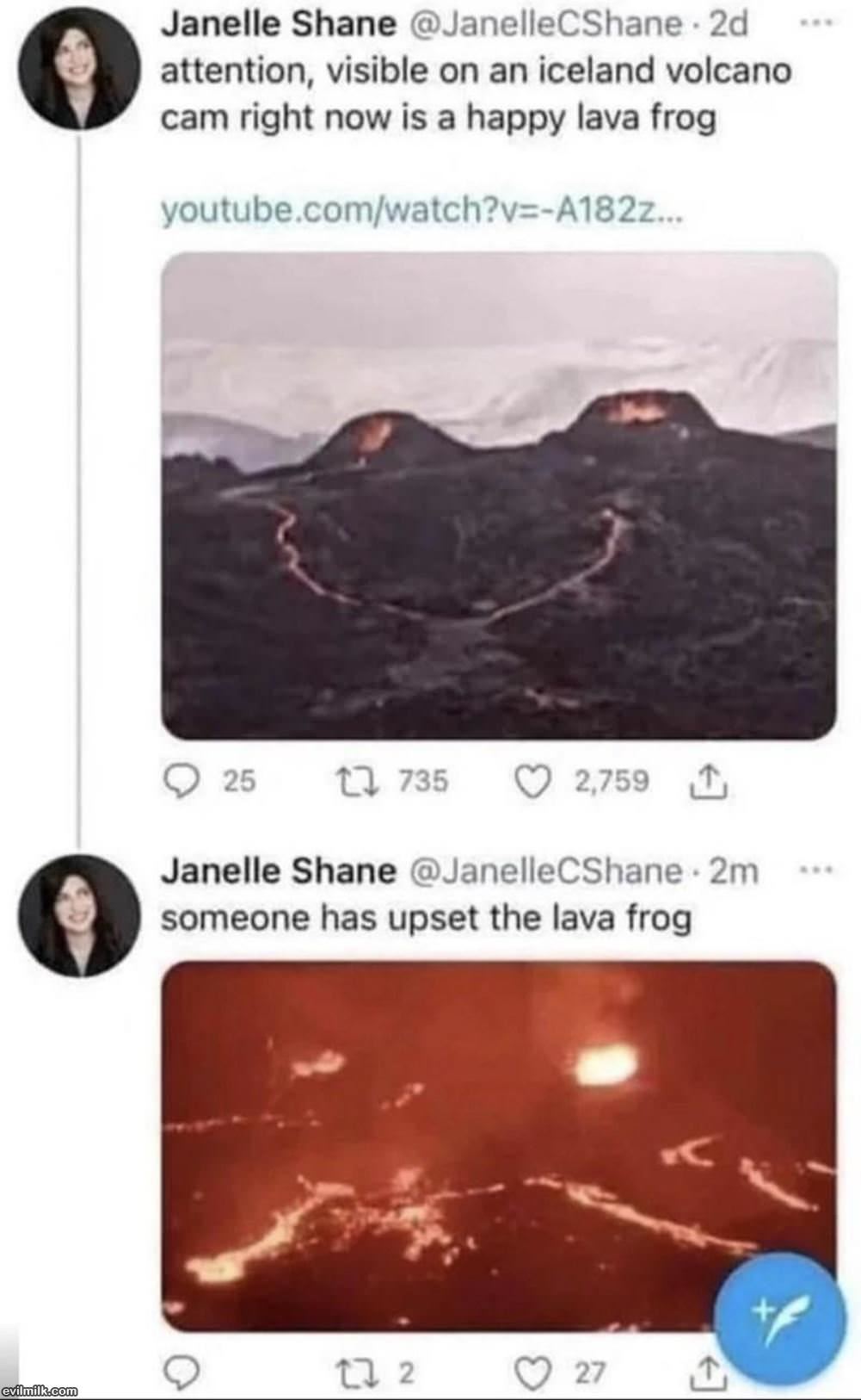 The Lava Frog