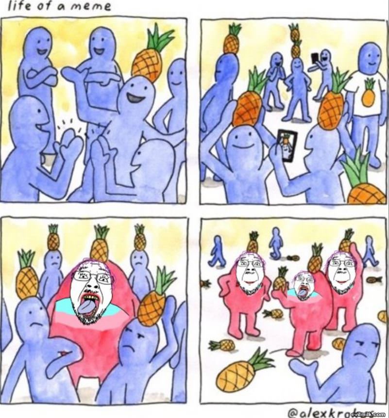 The Life Of A Meme