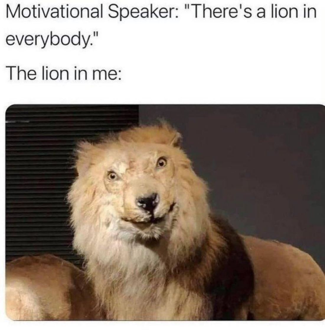 The Lion In Me