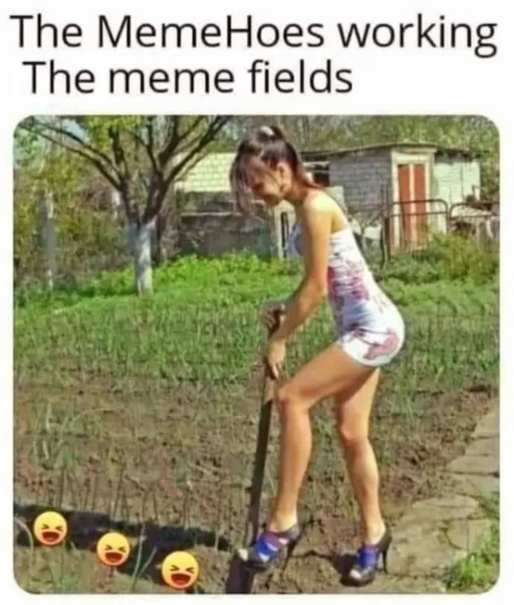 The Memefield