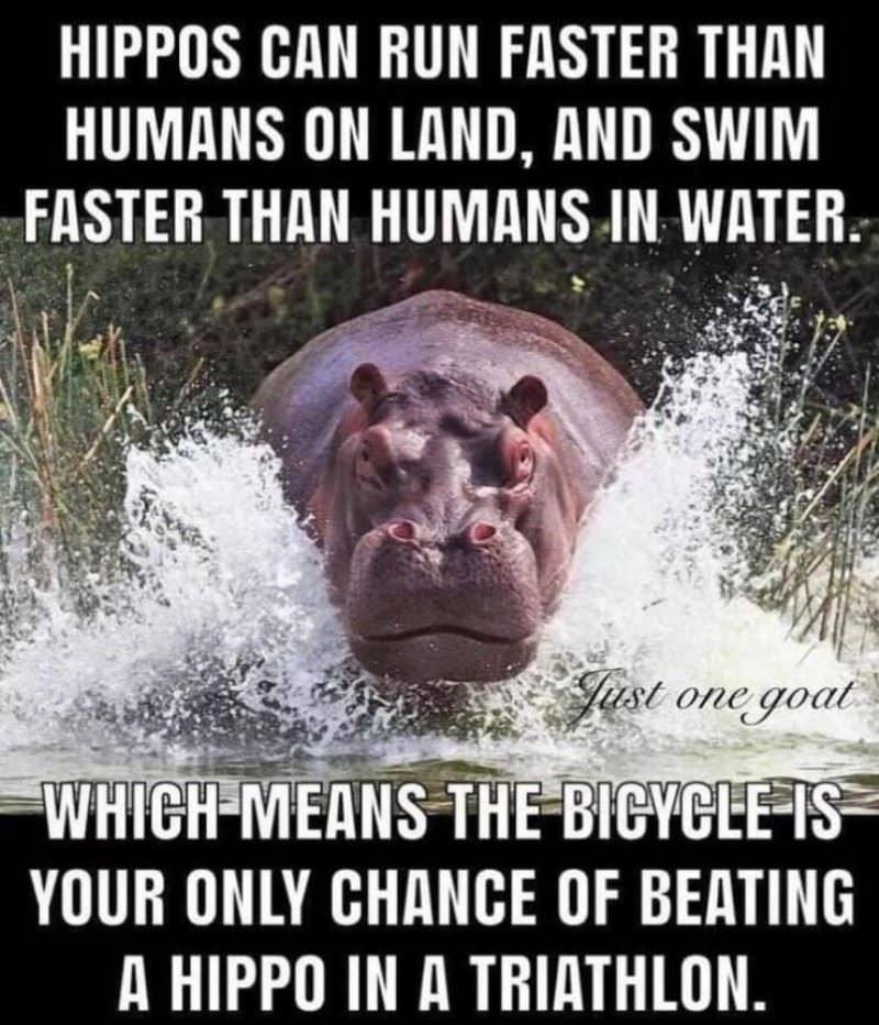The More You Know