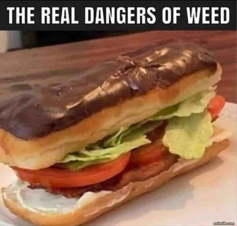 The Most Real Dangers