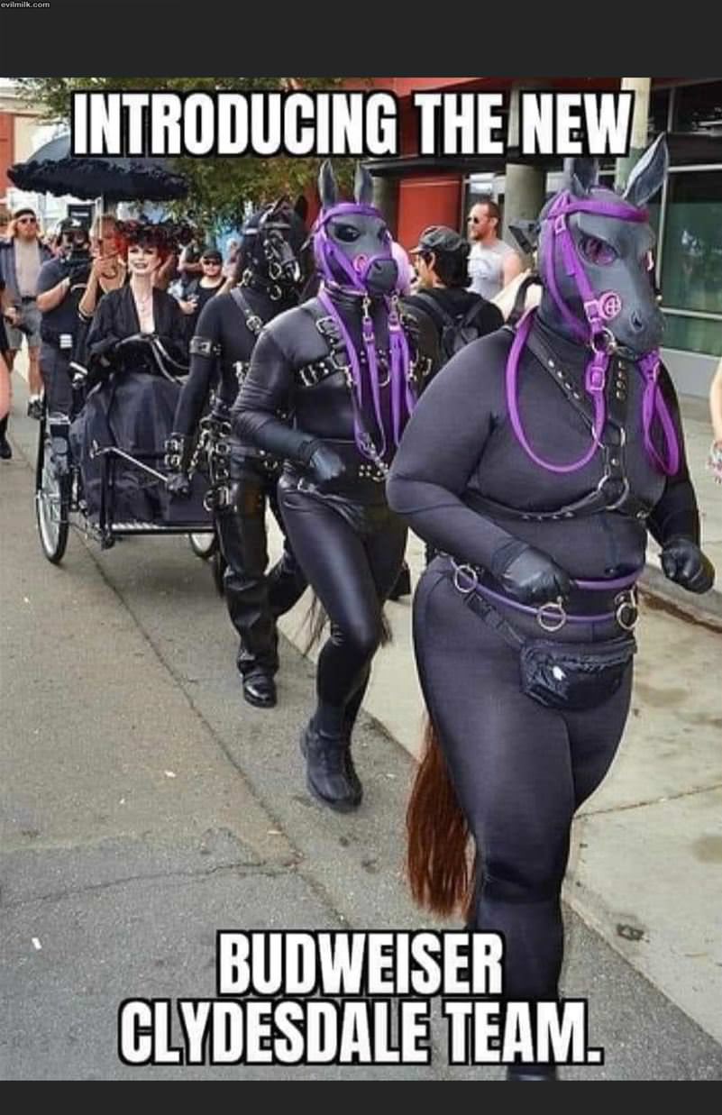 The New Team