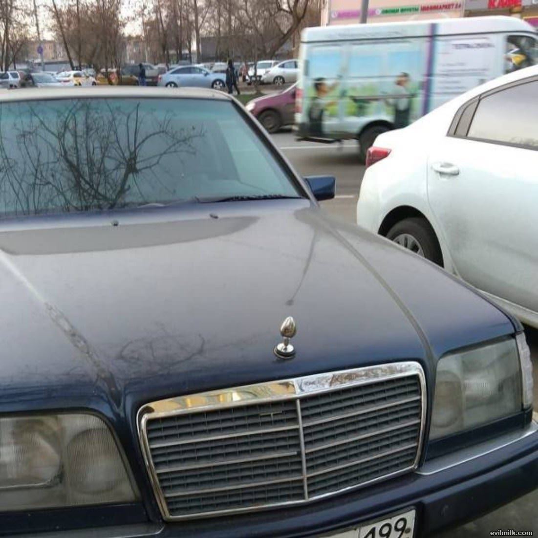 The Perfect Hood Ornament