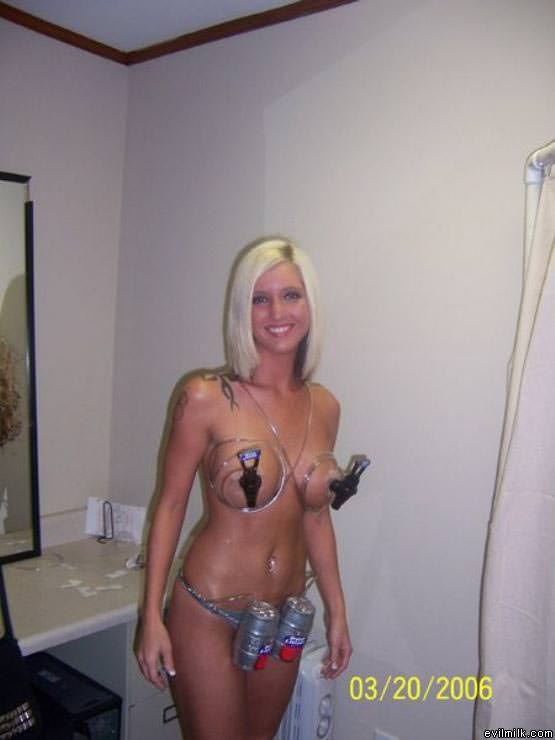 The Perfect Woman