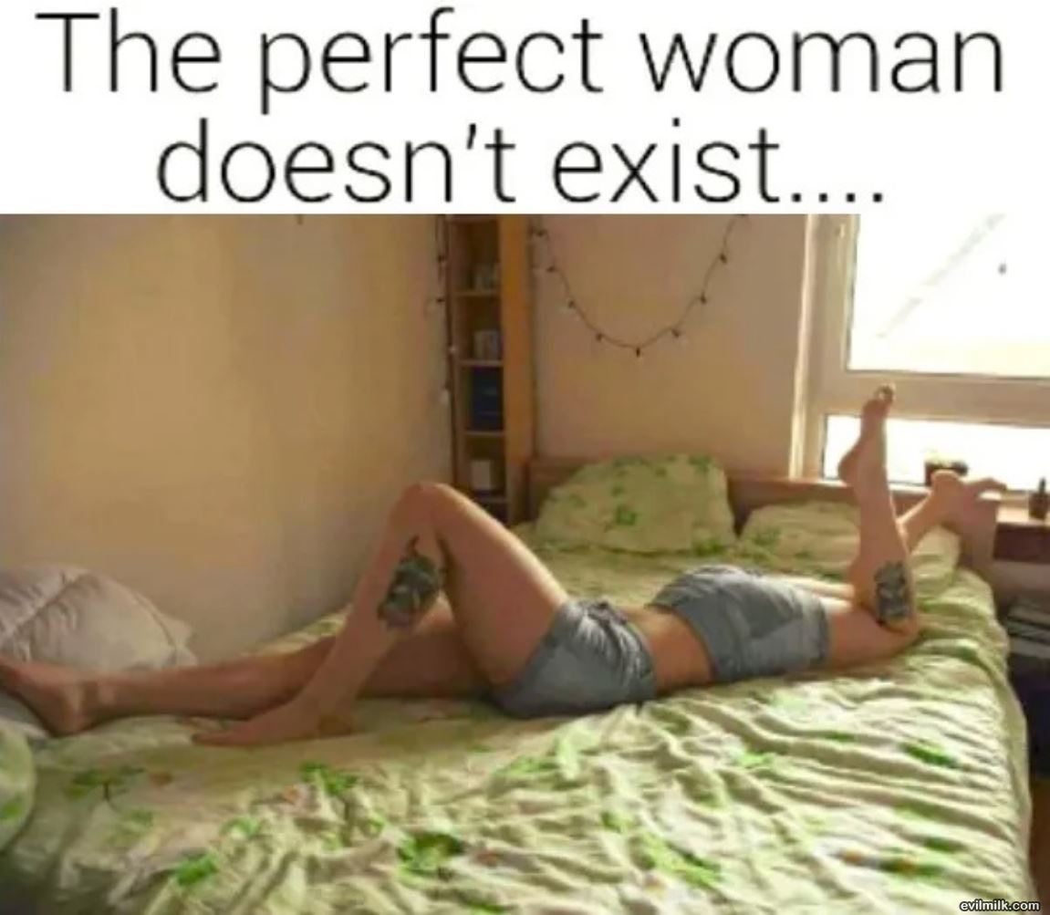 The Perfect Woman