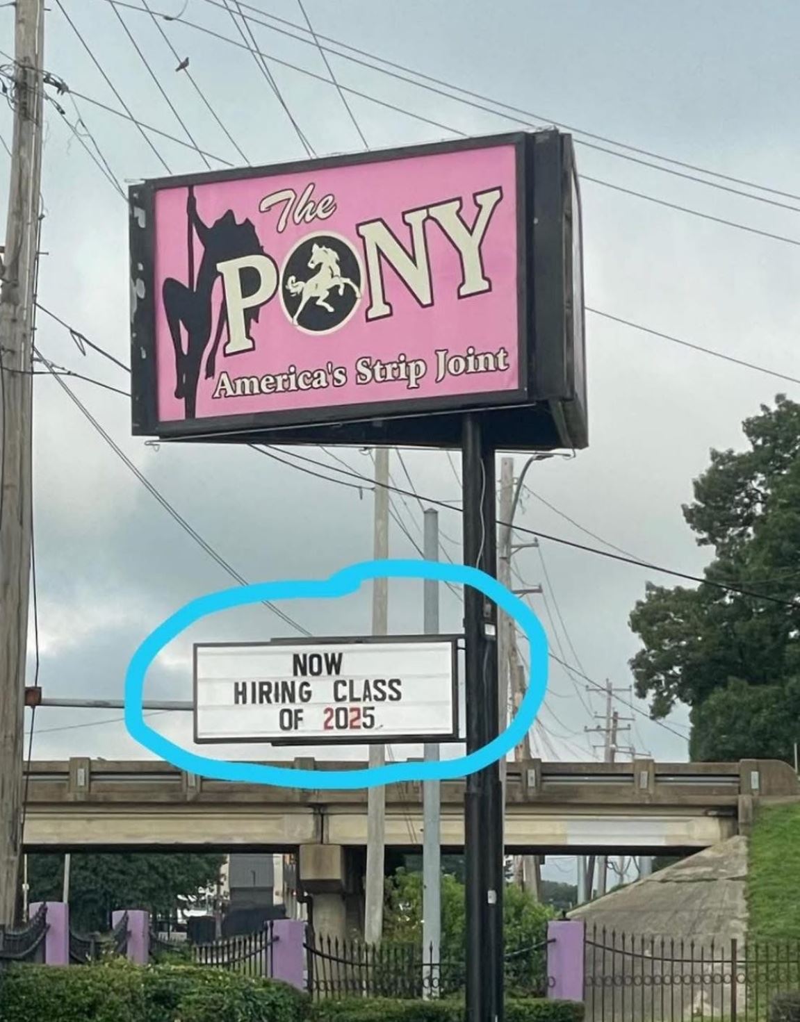 The Pony