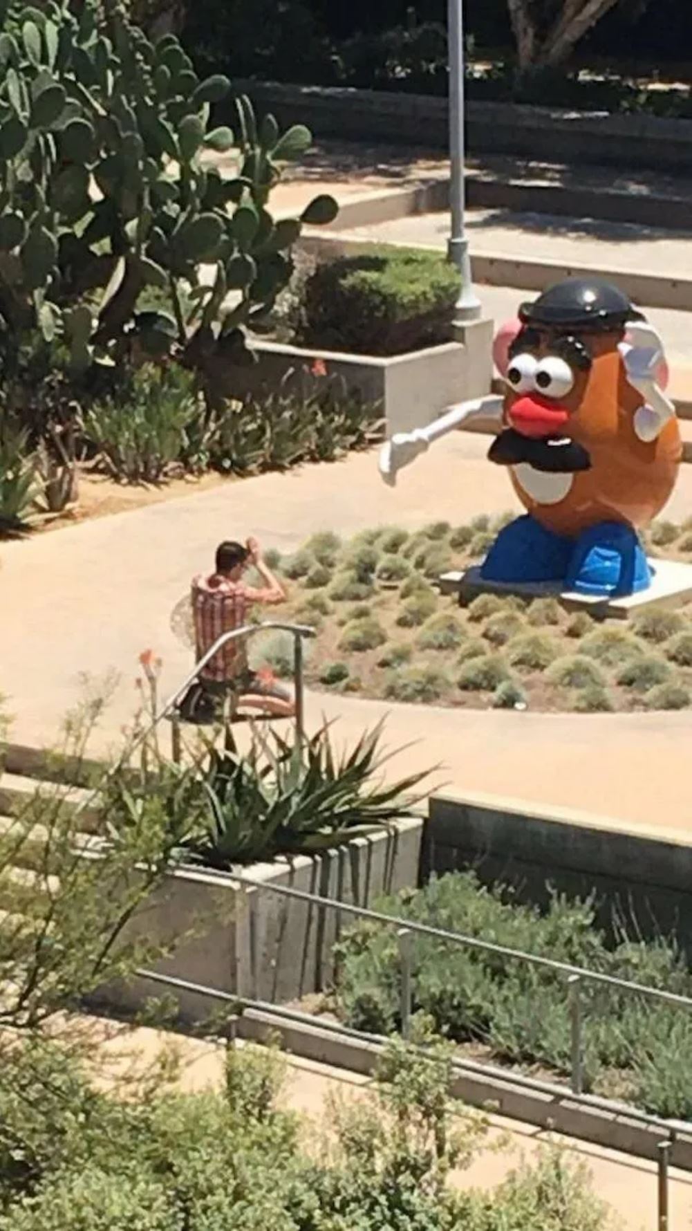 The Potato God