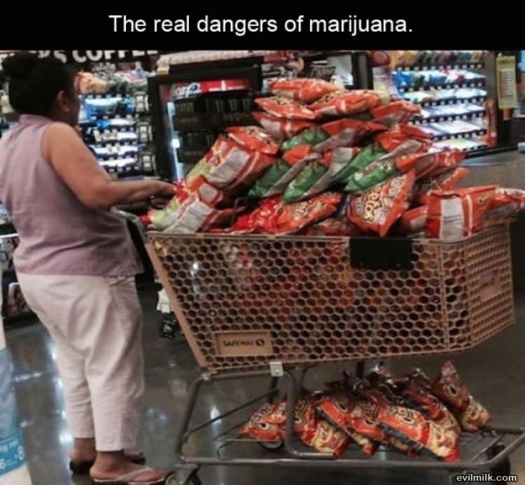 The Real Danger