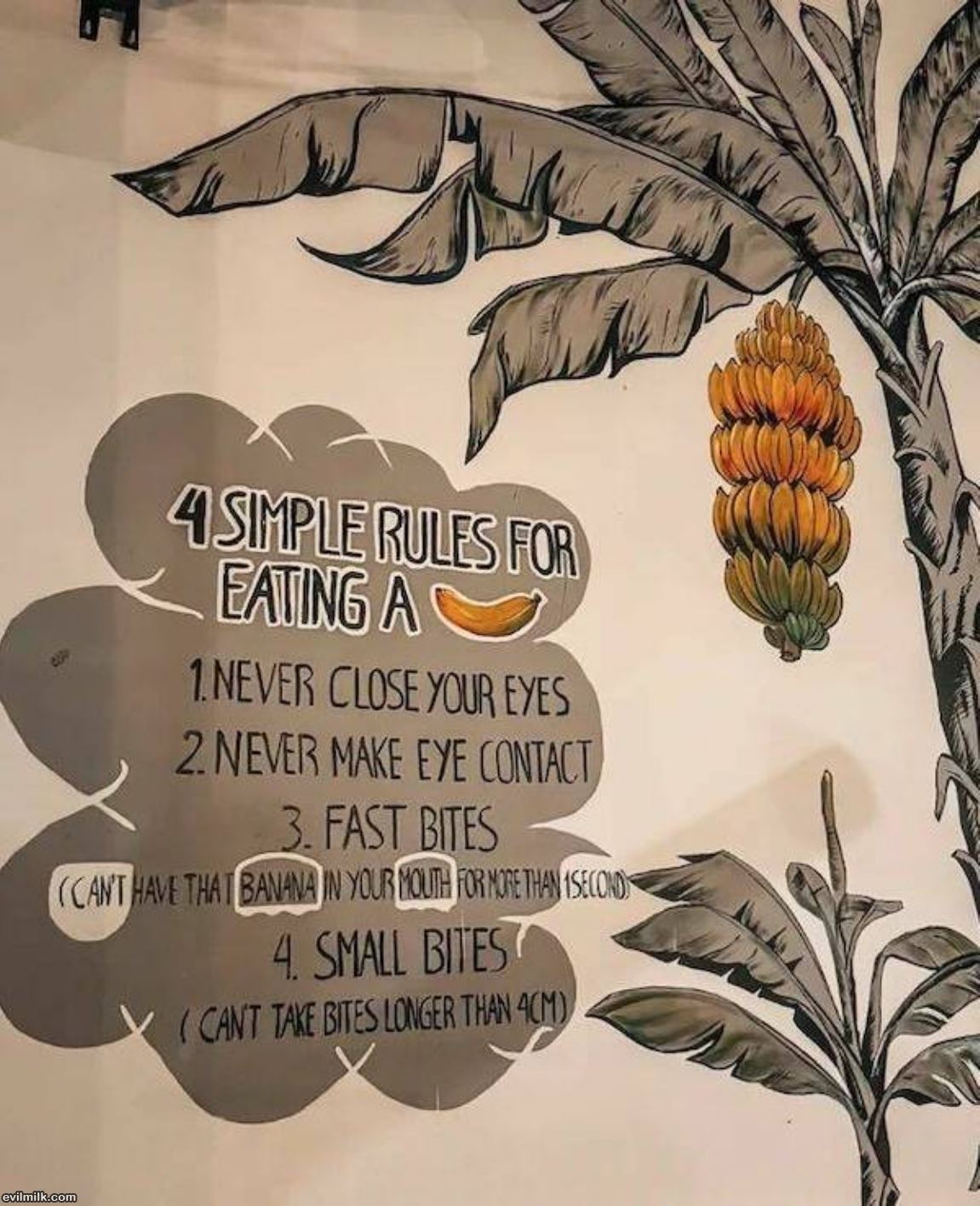 The Rules